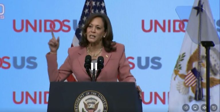 Los demócratas motivados con pequeños donantes recaudan 27,5 millones de dólares para Kamala Harris en 5 horas