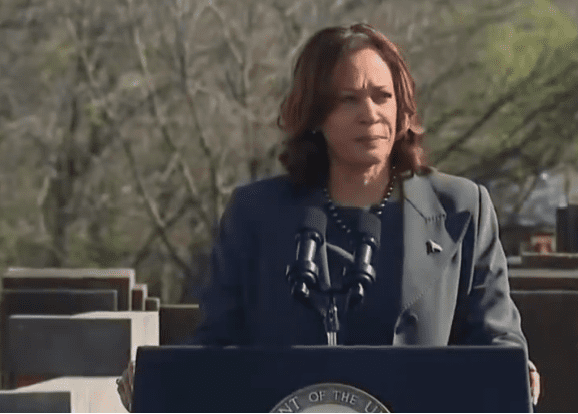 Exfuncionarios republicanos del gobierno apoyan a Kamala Harris