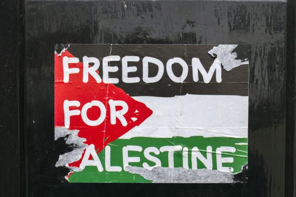 Cómo Hisb Ut-Tahrir usa las rangas de Gaza para revivir su agenda islamista global-el diplomático