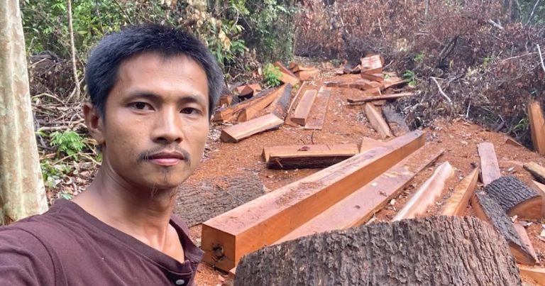 El activista dibuja la destrucción del bosque camboyano «protegido», Baum de Tree – Radio Frei Asia
