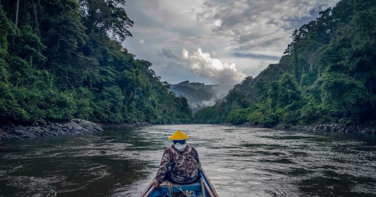 Documario «A River Out of Time» Probar proyectos económicos verdes en Indonesia Borno – Radio Free Asia