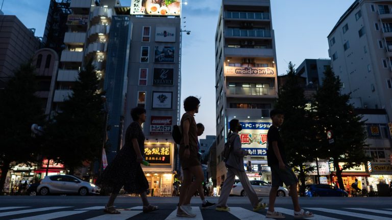 Votación parlamentaria en Japón, las acciones de tierras raras de Australia aumentan