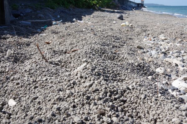 Roca volcánica flotante altera la vida en Papúa Nueva Guinea – The Diplomat